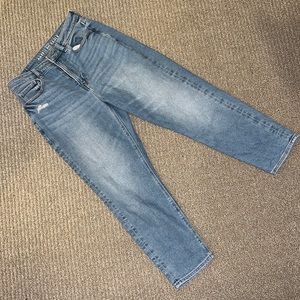 American Eagle Short Stretch Jeans